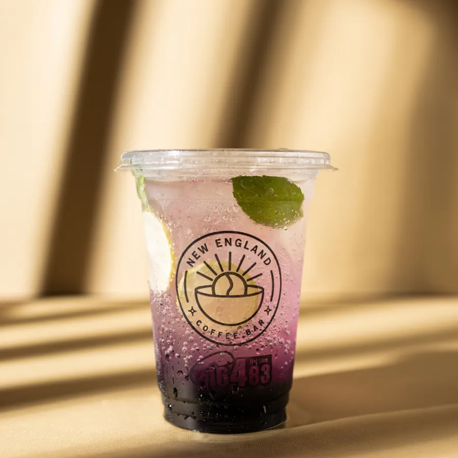 Blueberry Mojito