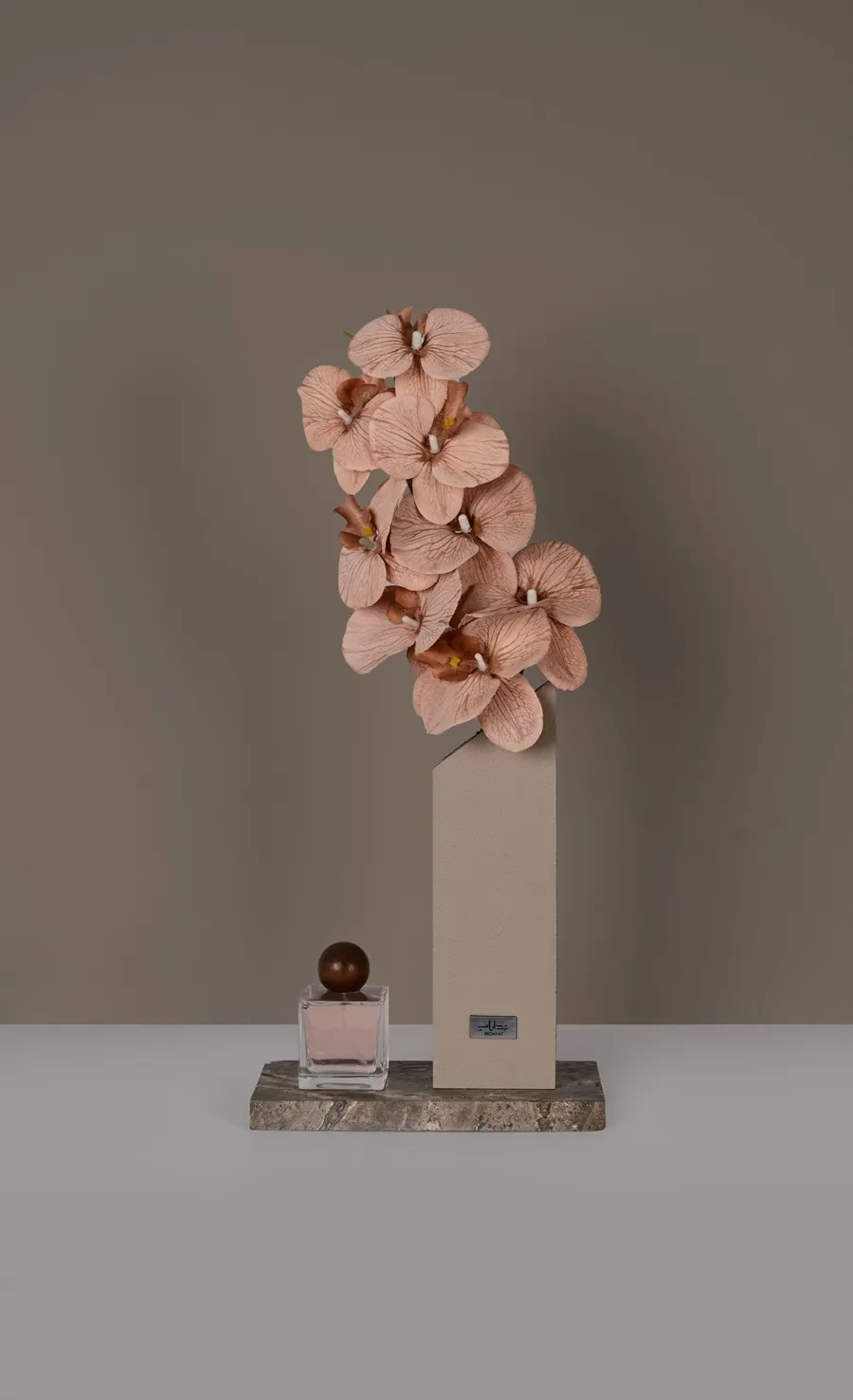baby pink orchid
