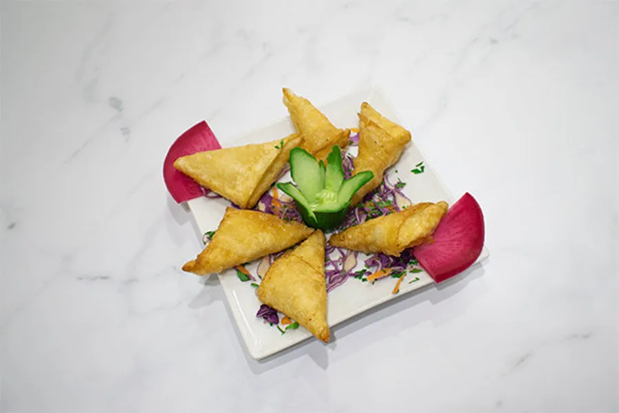 Sambosa Piece