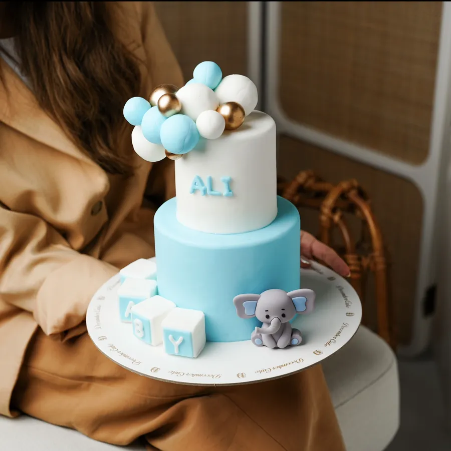 Elephant and ball cake small double 6inch mix chocolate vanilla