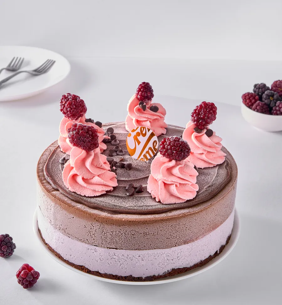 Choco Raspberry Ice Cake