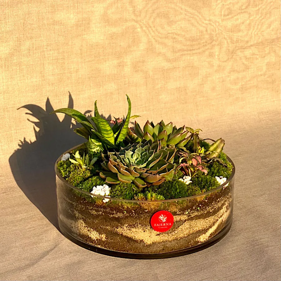 simple terrarium
