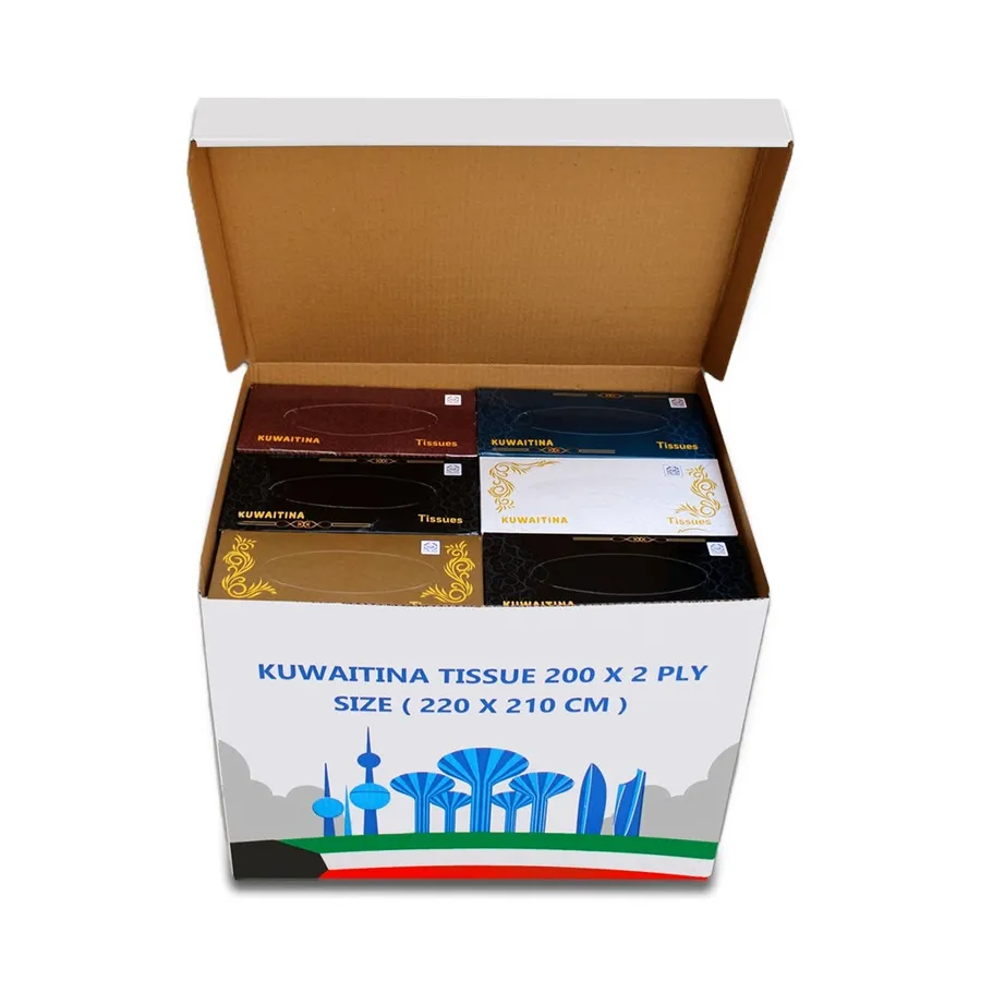 CARTON 24 PCS KUWAITINA TOWEL BOX 200 SHEETS