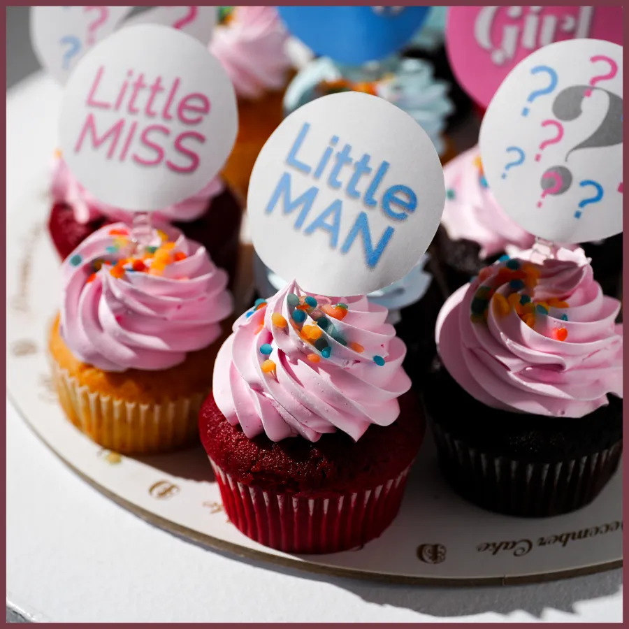 Cup cake blue pink 12pic boy or girl