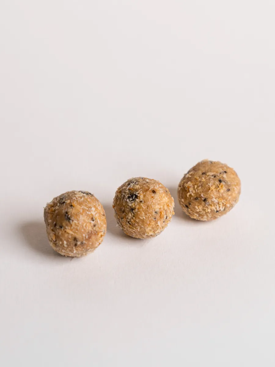 Protein Balls