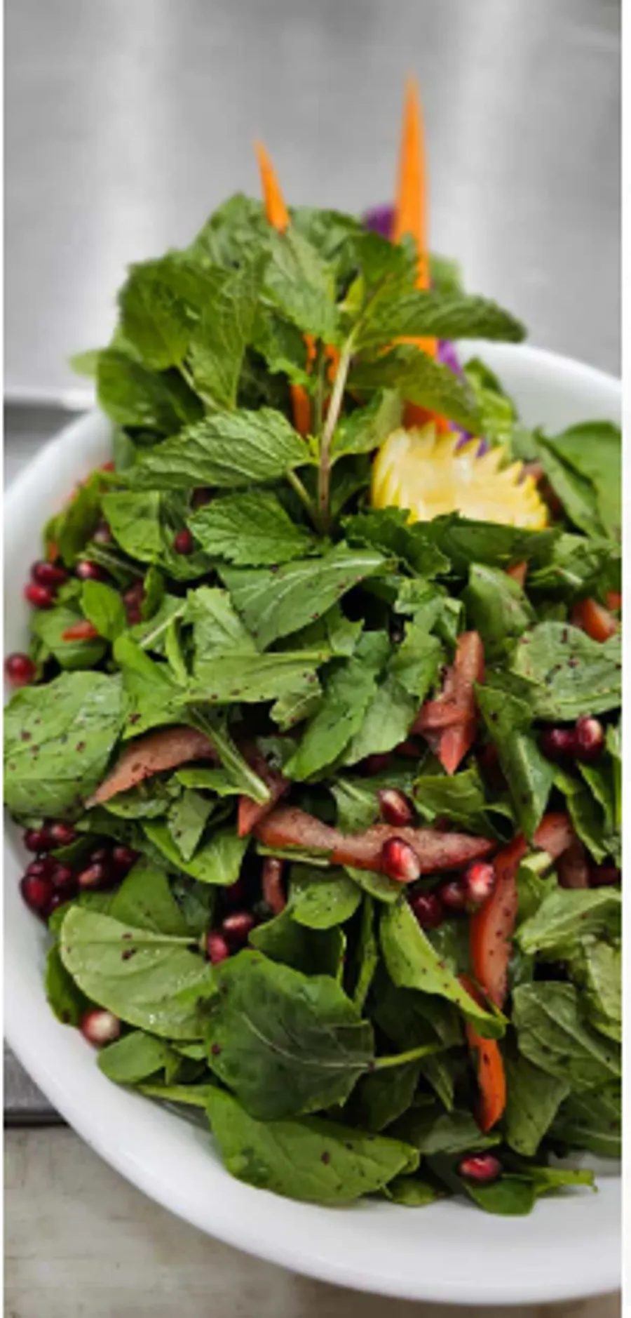 Salad GaRger