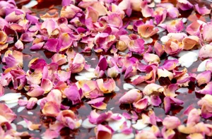 Rose Halwa		