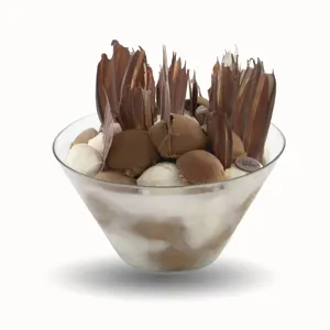 Summer Ice Cream 