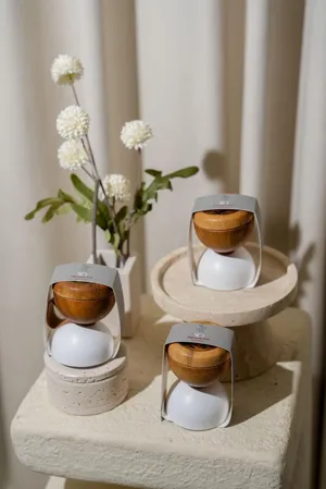 المباخر والأساسيات