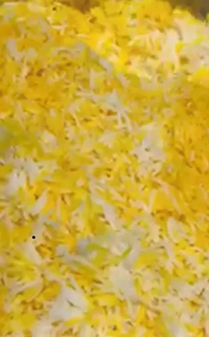 أطباق العيوش 