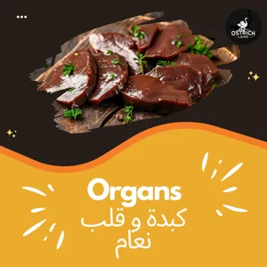 Organs