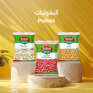 Batool Food