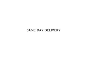 Same day delivery