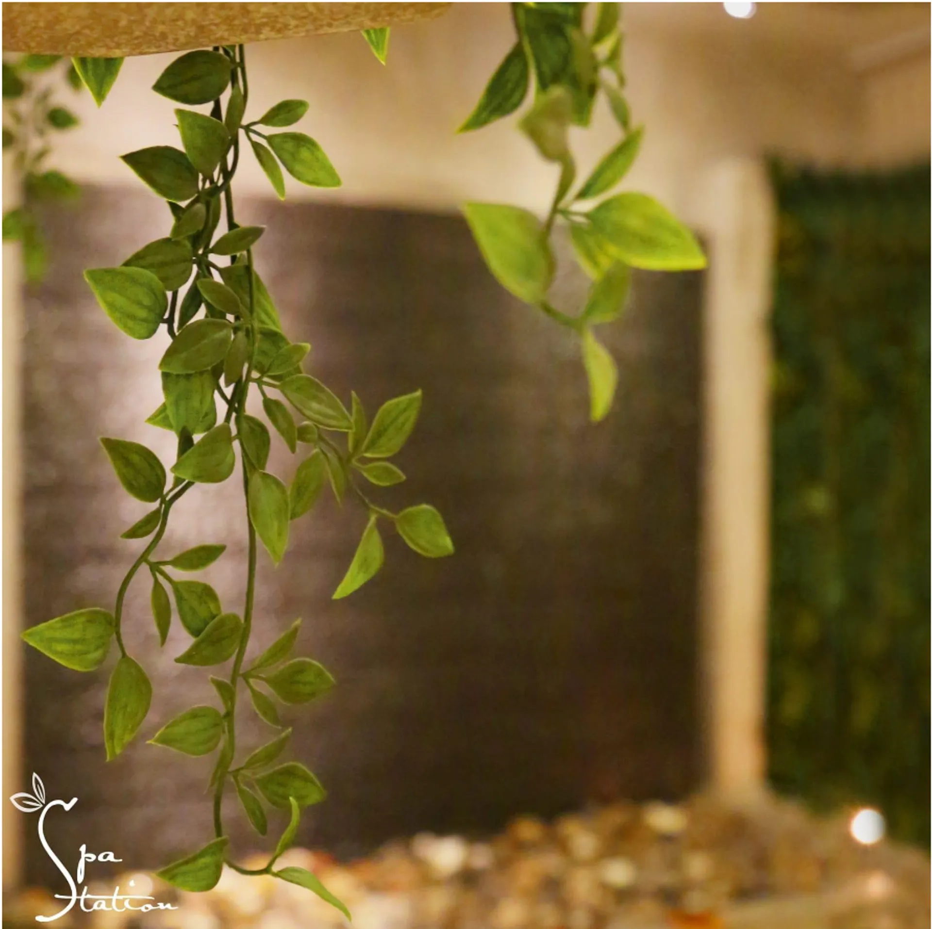 SPA STATION store photo