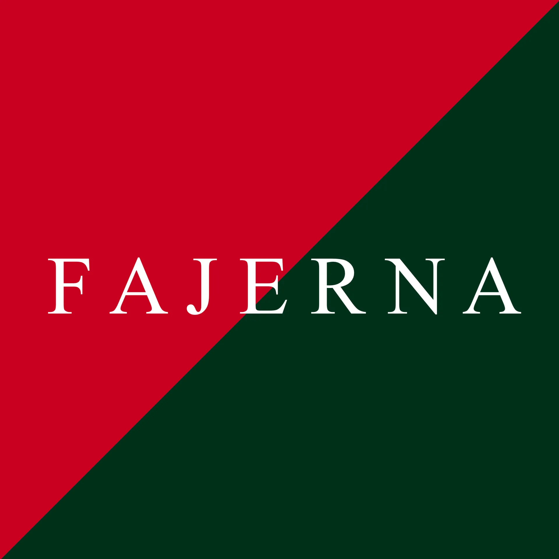 Fajerna store photo
