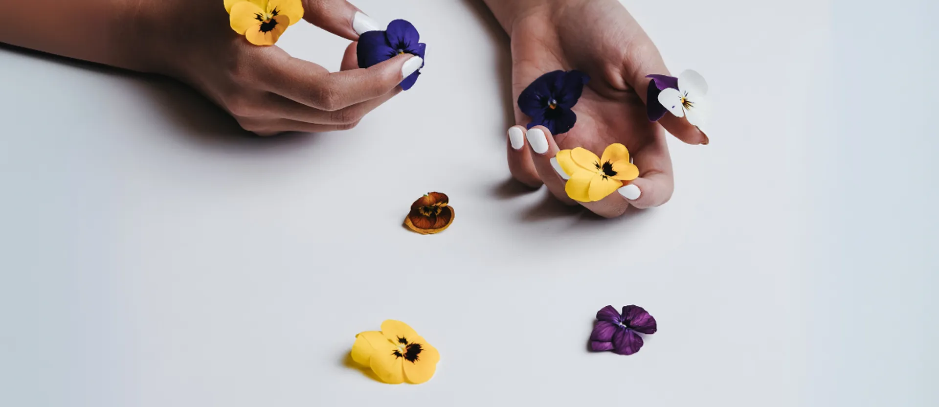 Lenotre Cafe store photo